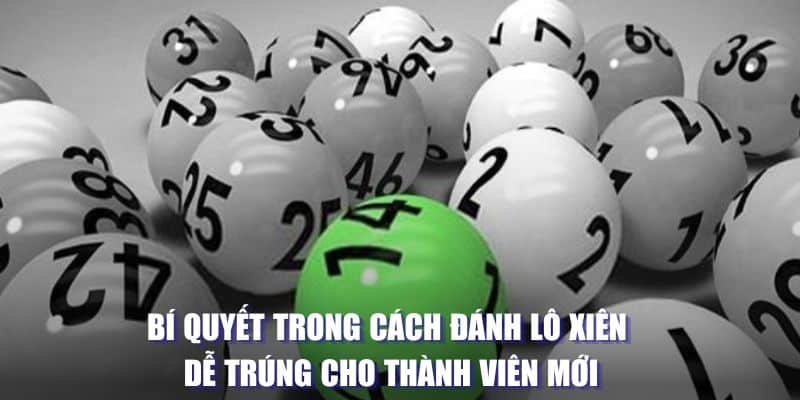 Bí quyết trong cách đánh lô xiên cho thành viên